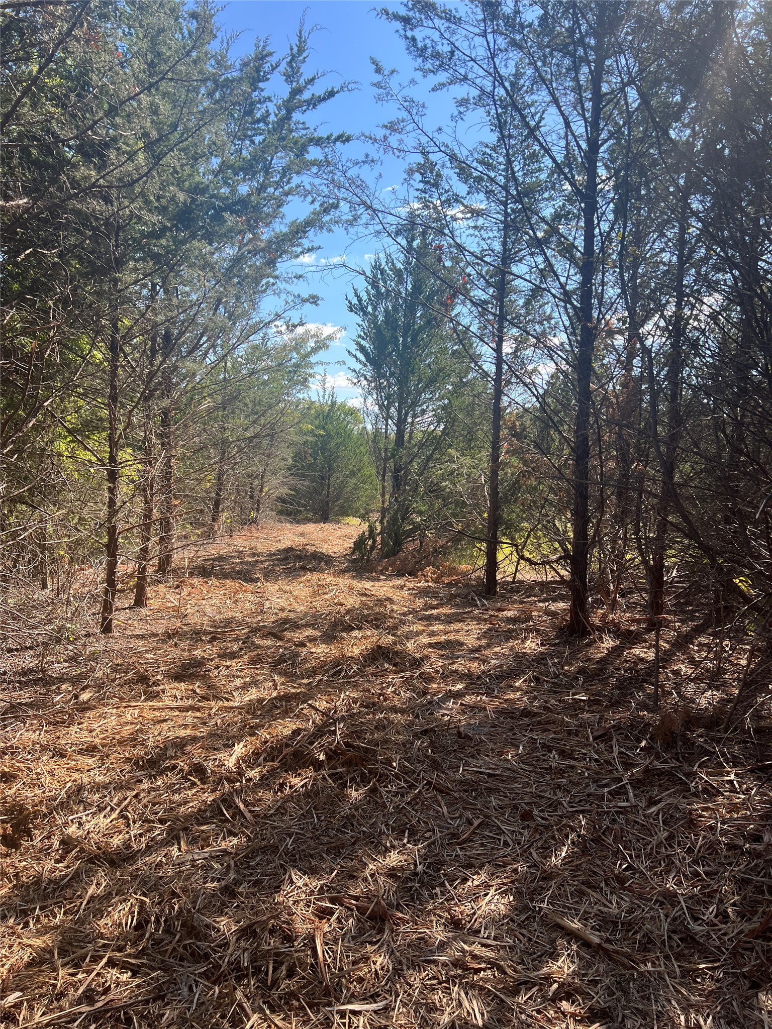 Tbd Rochelle Cannon Road Whitewright TX 75491