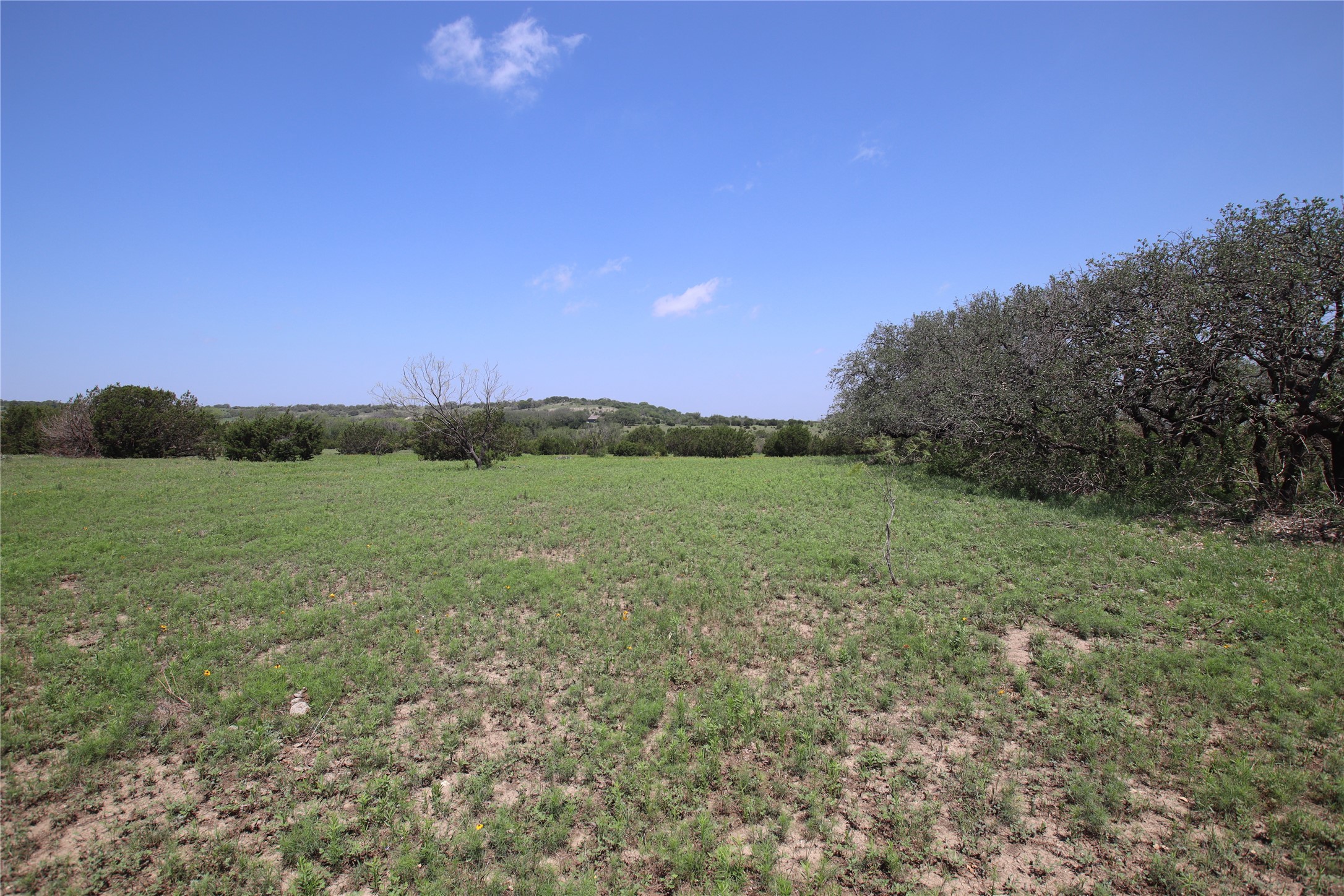 Tbd Fm 221 - Tract 3 Pottsville TX 76565