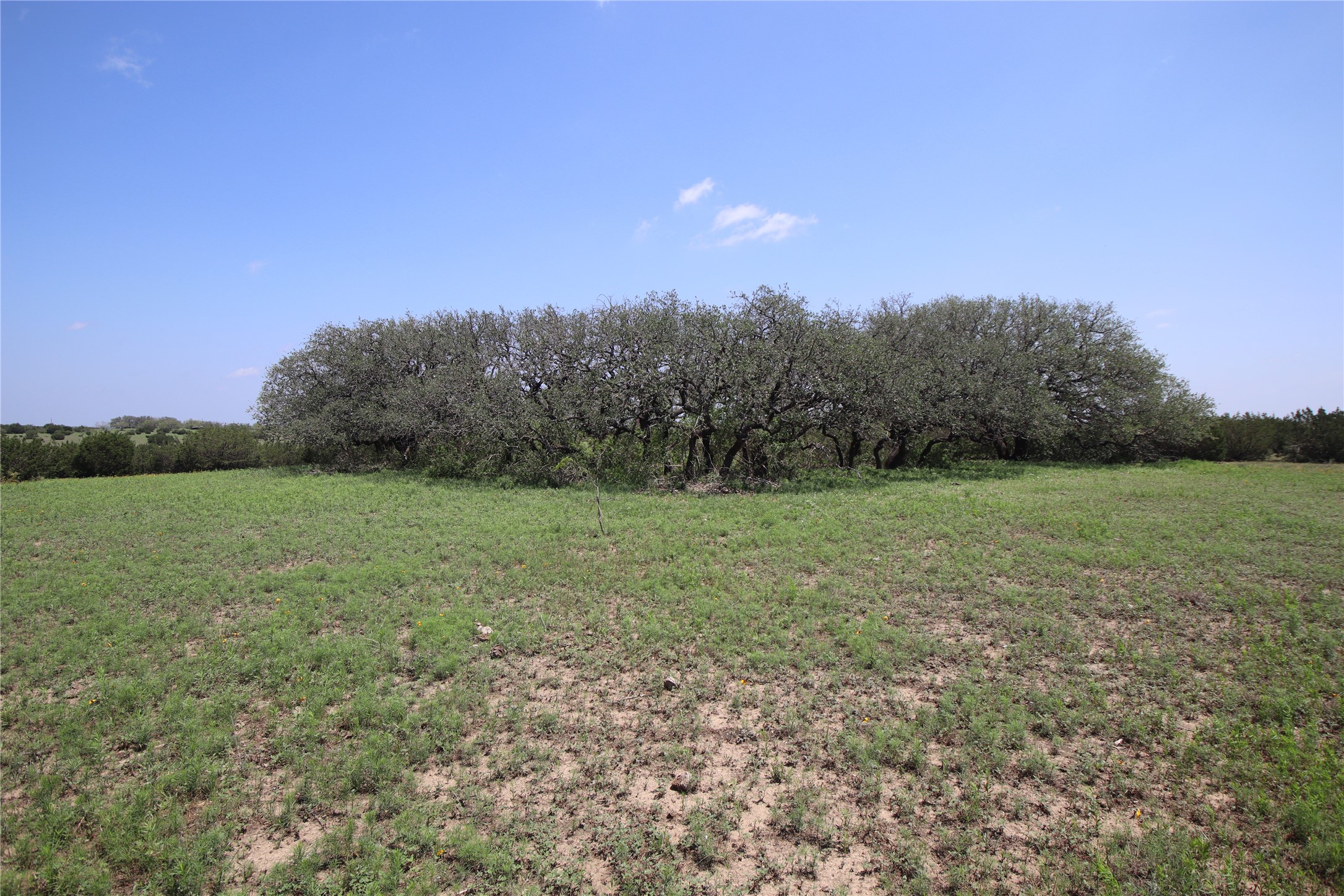 Tbd Fm 221 - Tract 3 Pottsville TX 76565