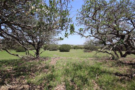 Tbd Fm 221 - Tract 3 Pottsville TX 76565