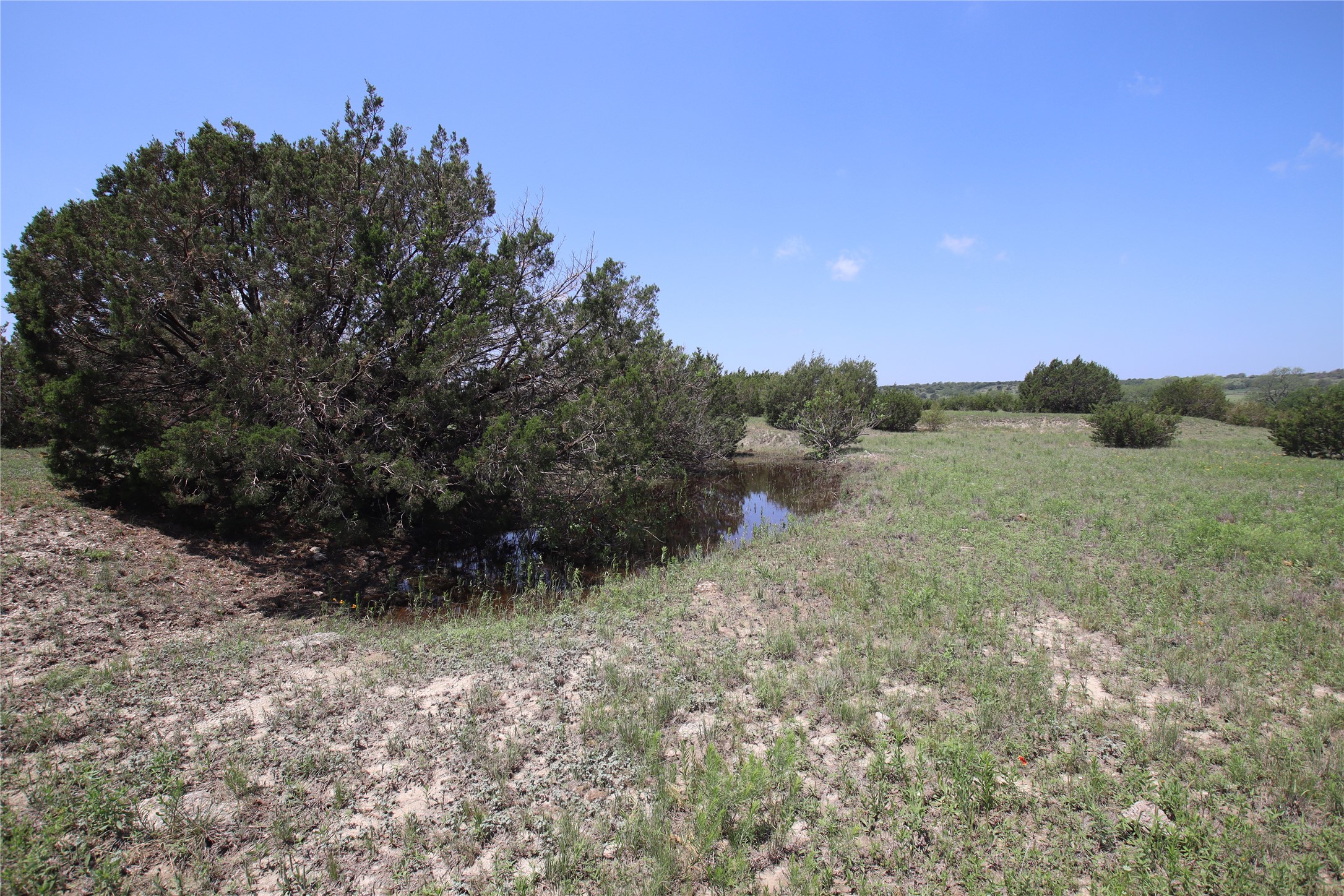 Tbd Fm 221 - Tract 3 Pottsville TX 76565