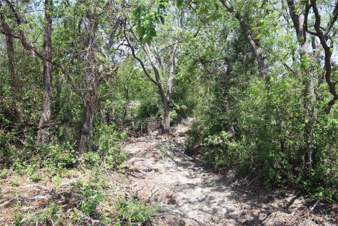 Tbd Fm 221 - Tract 3 Pottsville TX 76565