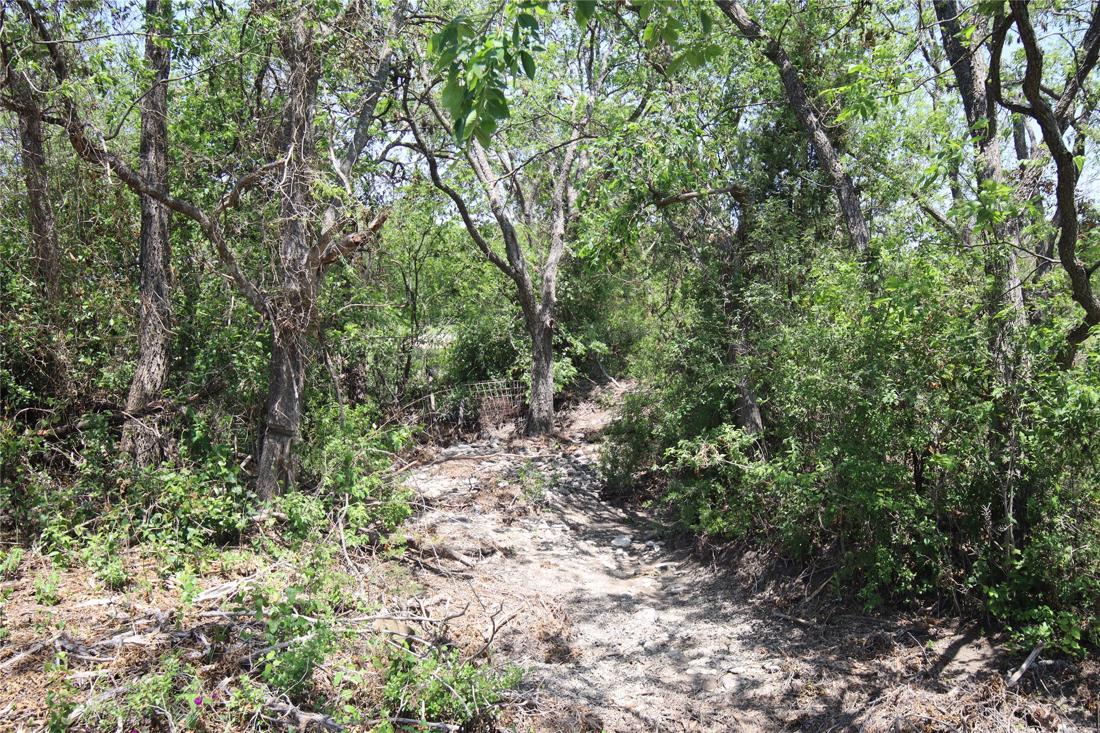 Tbd Fm 221 - Tract 3 Pottsville TX 76565