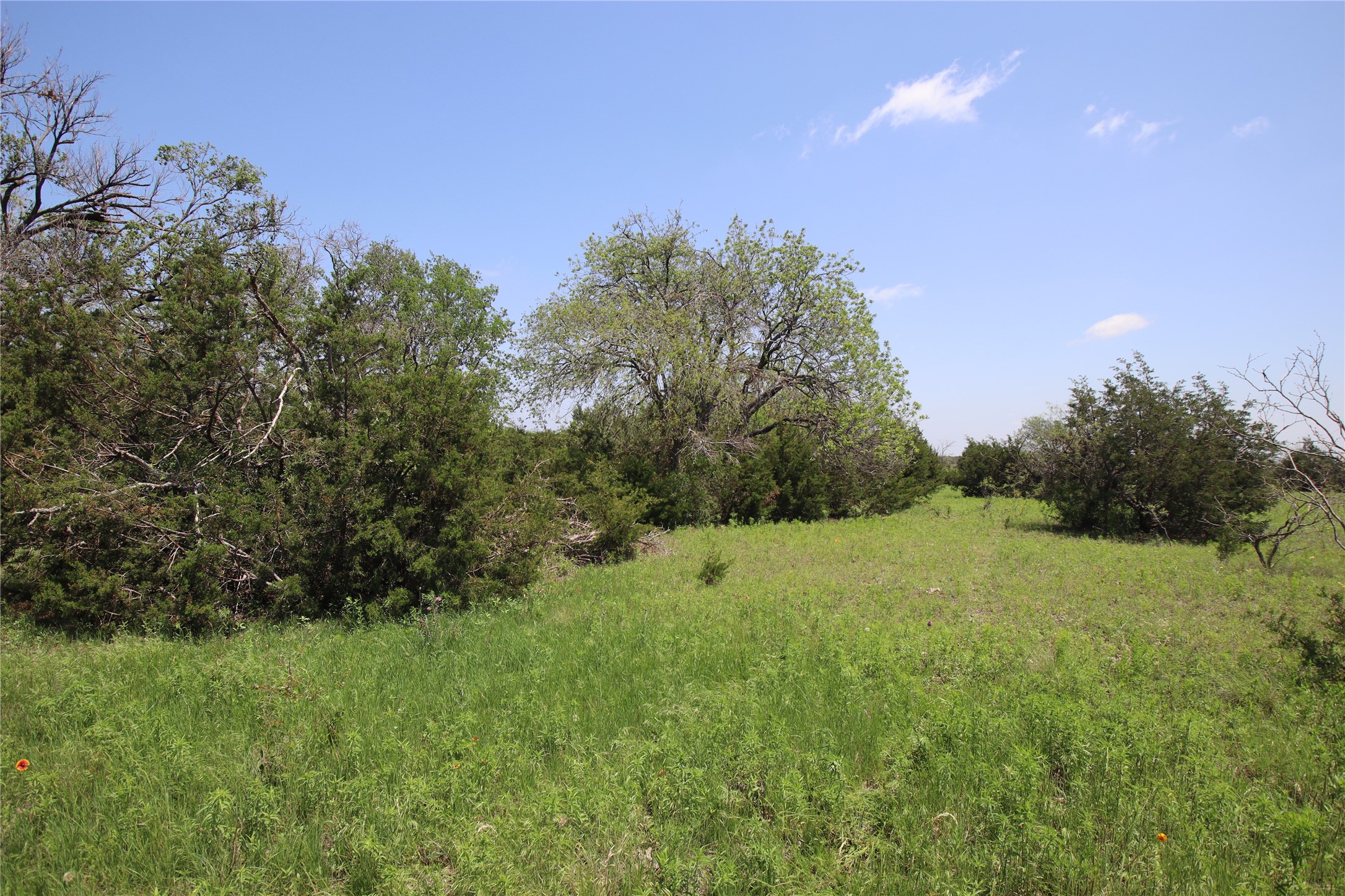 Tbd Fm 221 - Tract 3 Pottsville TX 76565