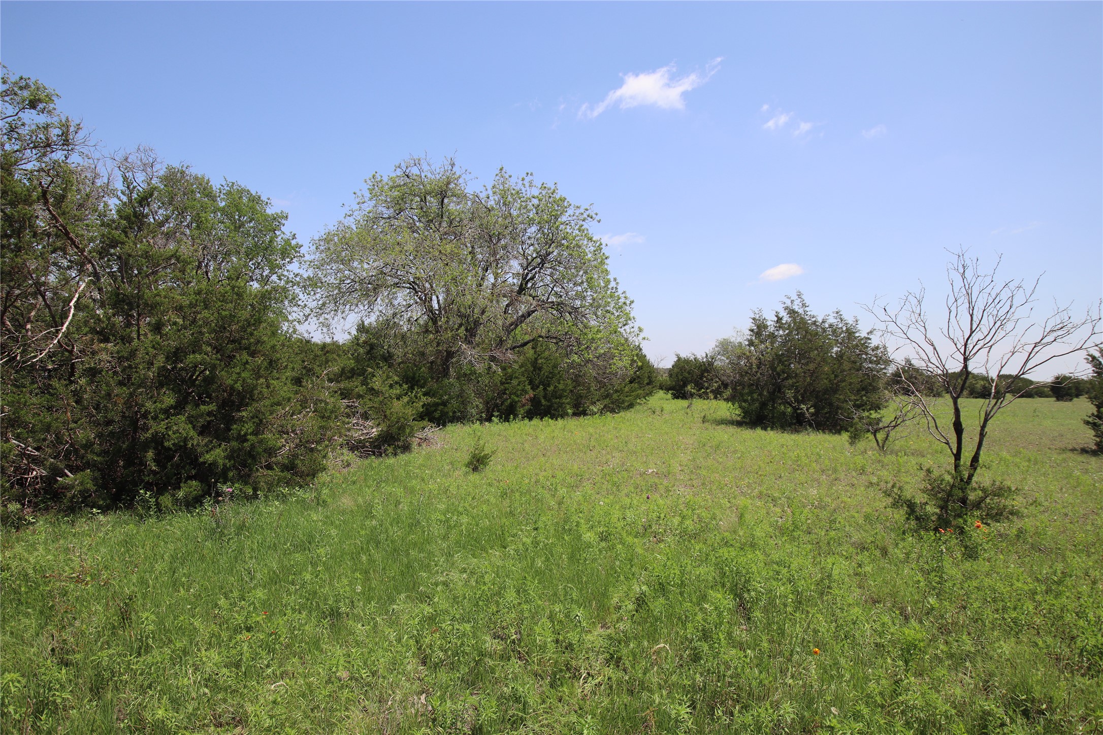 Tbd Fm 221 - Tract 3 Pottsville TX 76565