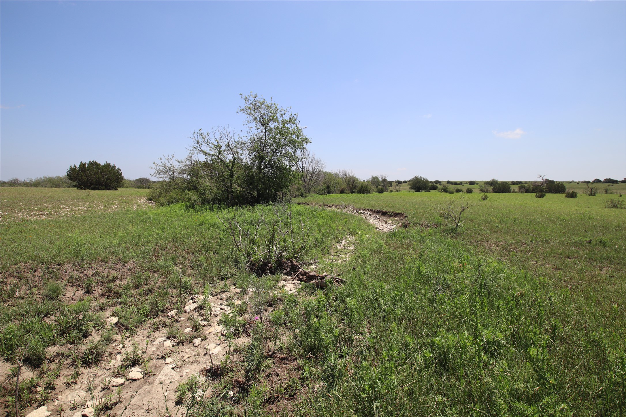 Tbd Fm 221 - Tract 3 Pottsville TX 76565