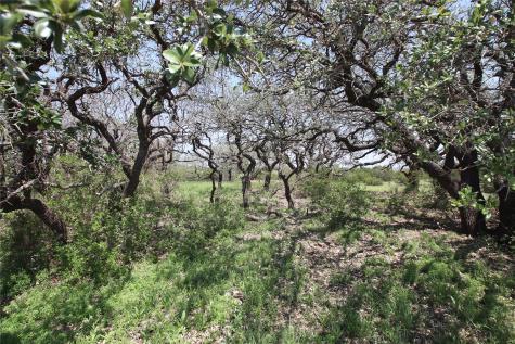 Tbd Fm 221 - Tract 3 Pottsville TX 76565