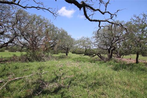 Tbd Fm 221 - Tract 3 Pottsville TX 76565