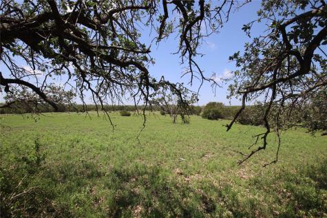 Tbd Fm 221 - Tract 3 Pottsville TX 76565