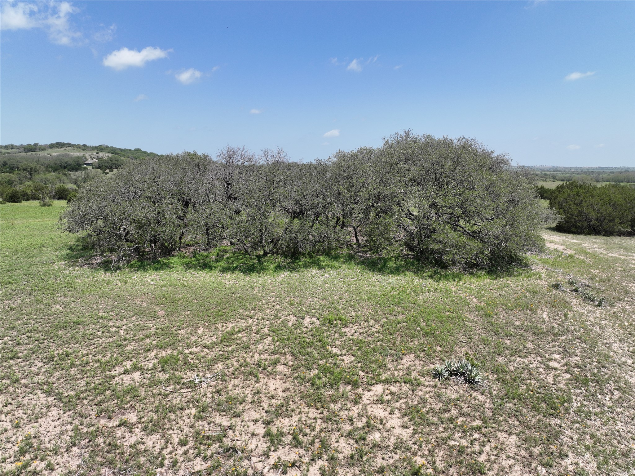 Tbd Fm 221 - Tract 3 Pottsville TX 76565