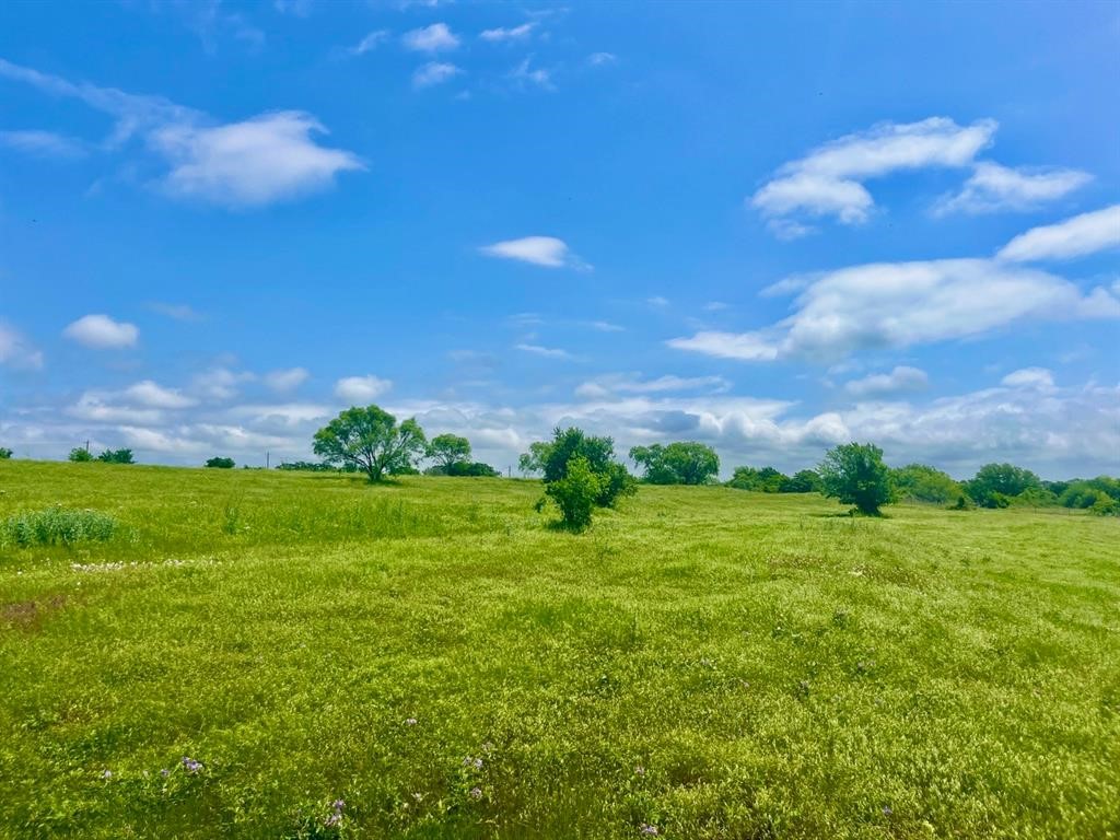 Lot 4 Clare Road Poolville TX 76487