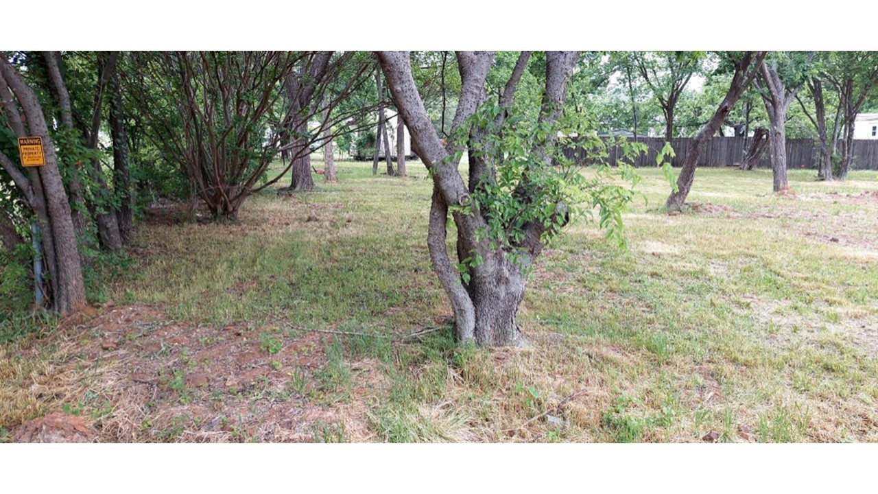 4251 Thousand Oaks Drive Argyle TX 76226