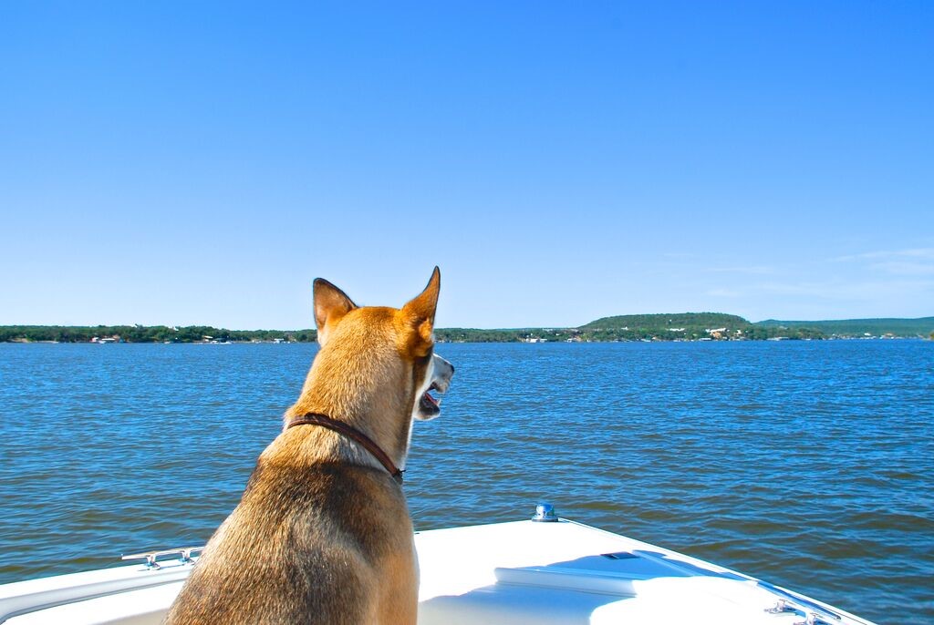 Lot 319 Shooting Star Possum Kingdom Lake TX 76449