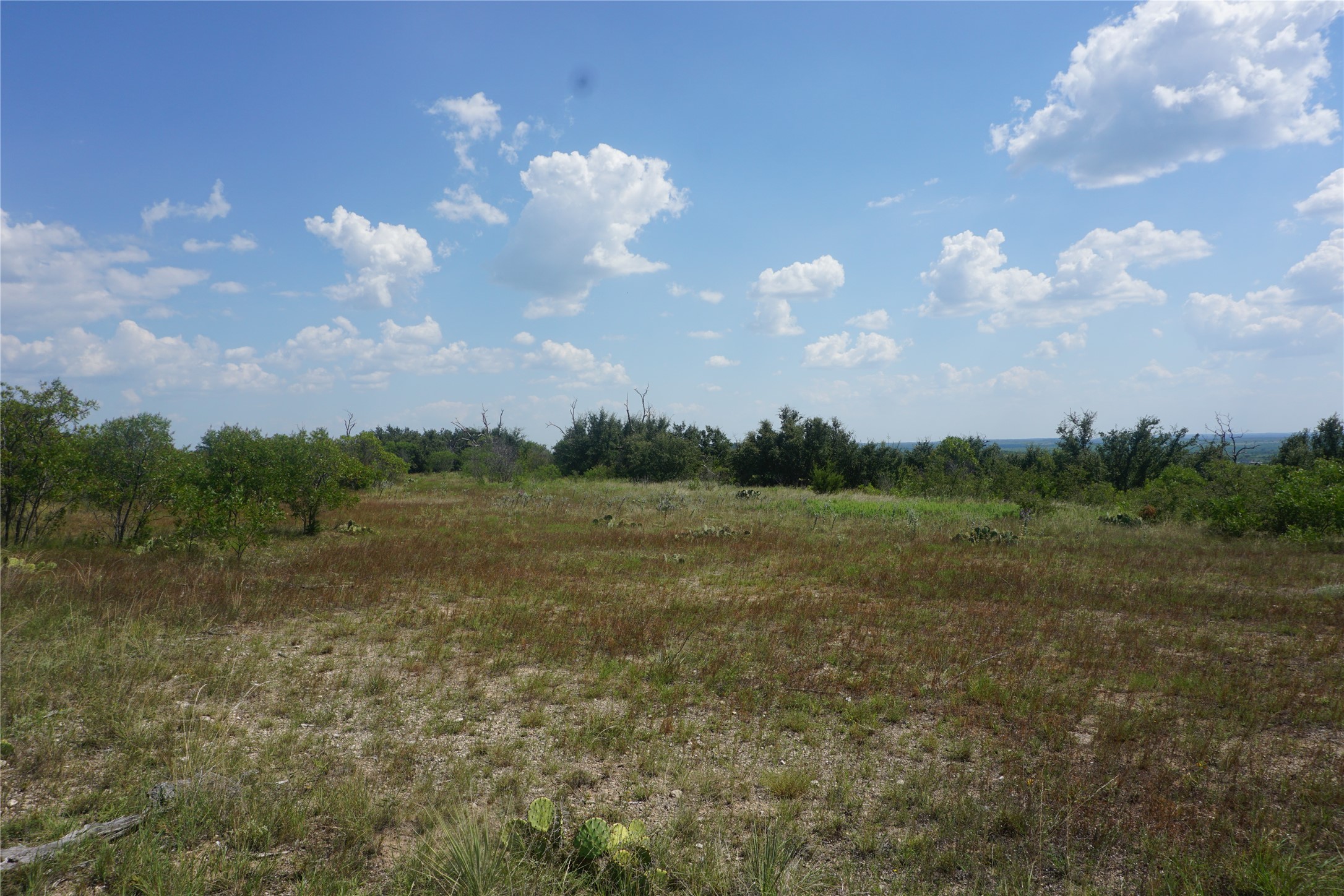 Lot 319 Shooting Star Possum Kingdom Lake TX 76449