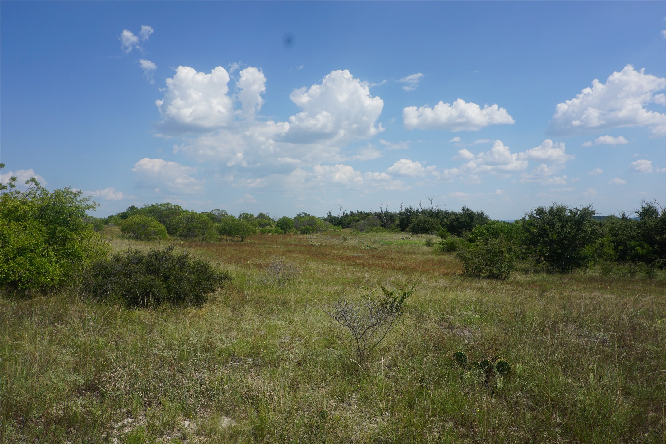 Lot 319 Shooting Star Possum Kingdom Lake TX 76449