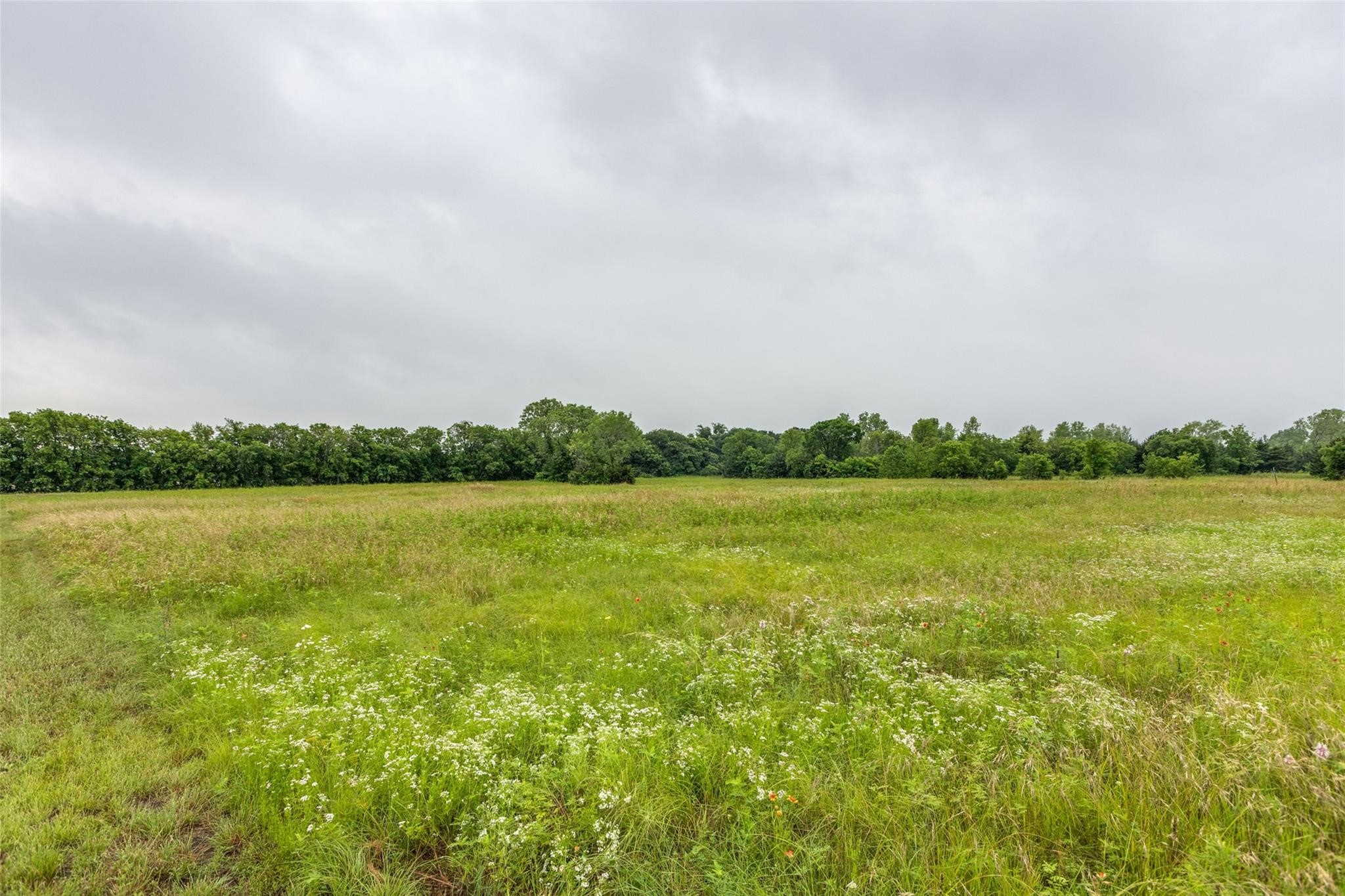 Tbd Baxter Well Road Mckinney TX 75071