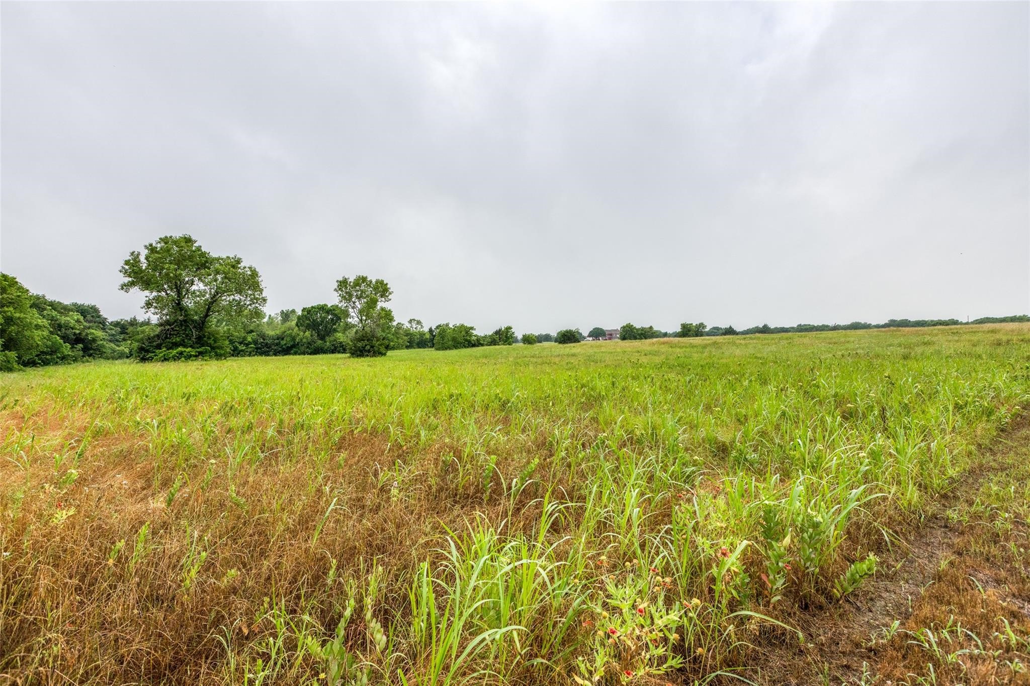 Tbd Baxter Well Road Mckinney TX 75071