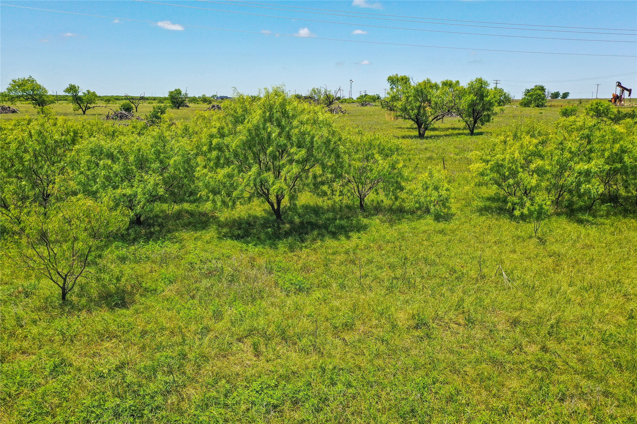 55.06 Acres 281 Highway Jacksboro TX 76458