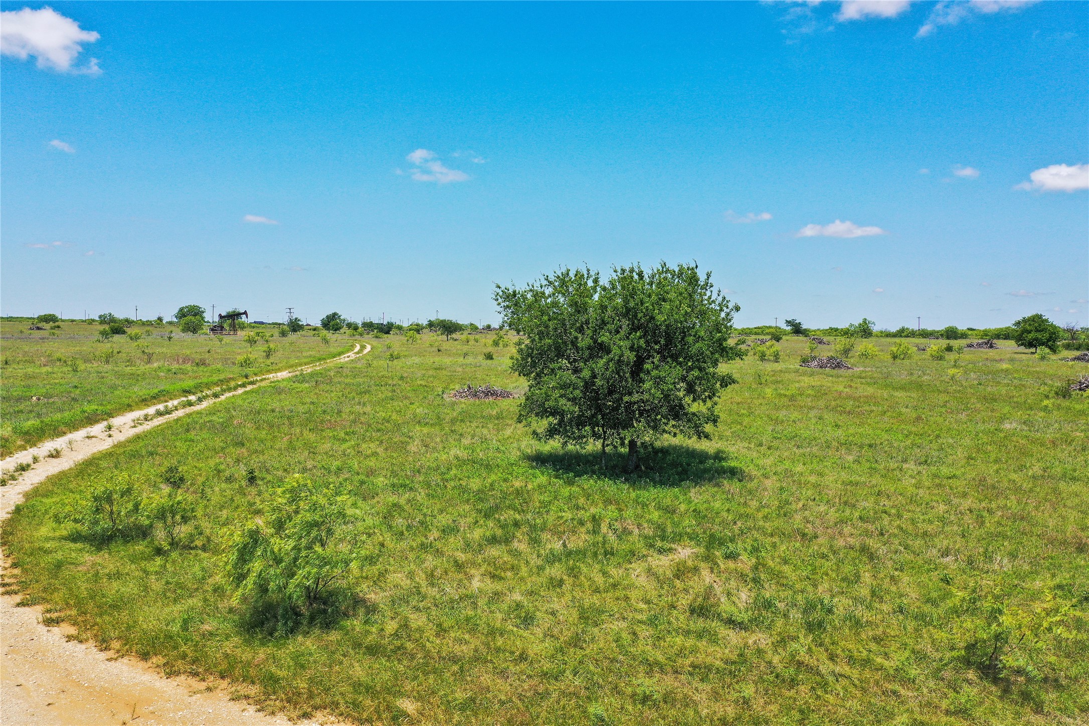 55.06 Acres 281 Highway Jacksboro TX 76458