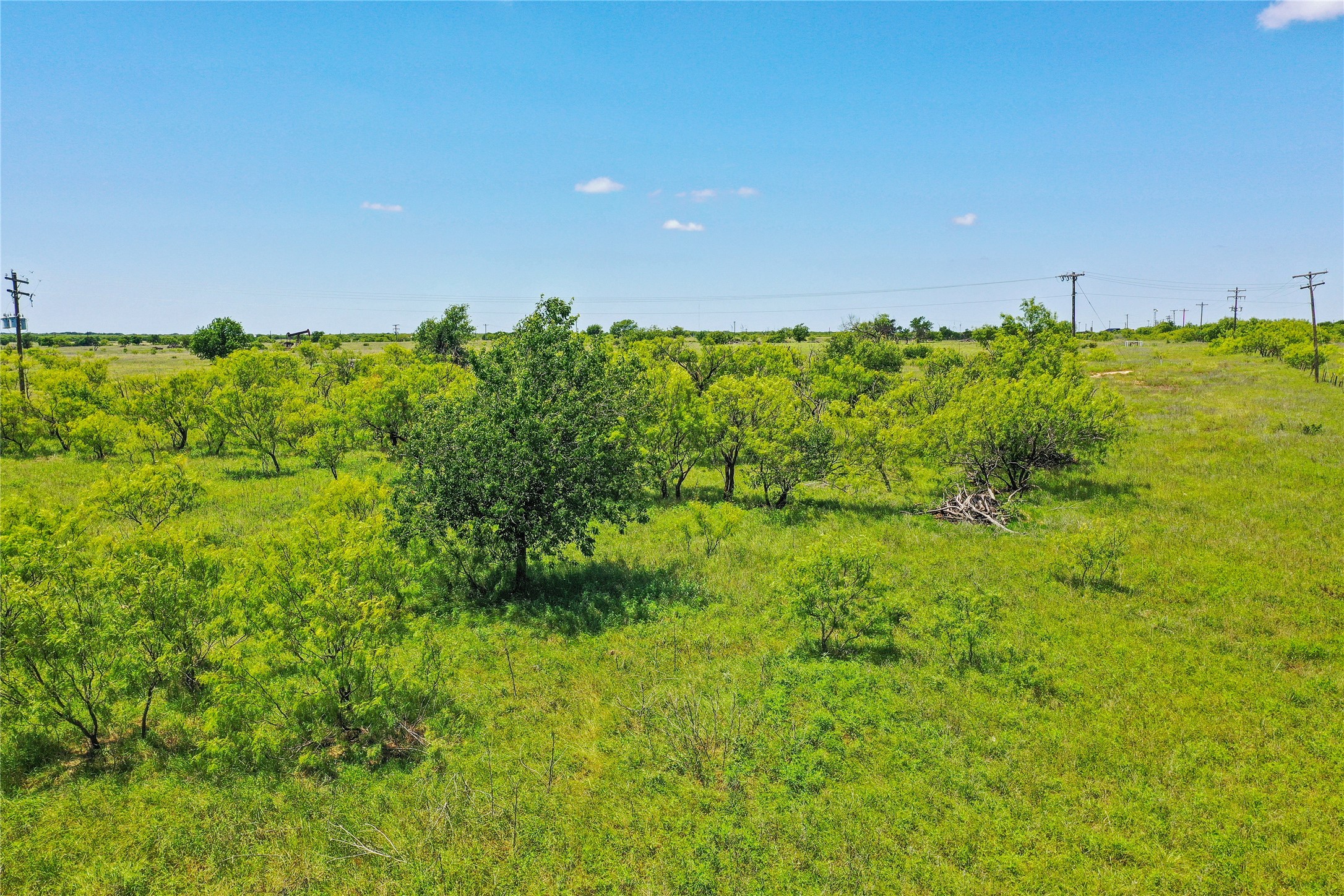 55.06 Acres 281 Highway Jacksboro TX 76458