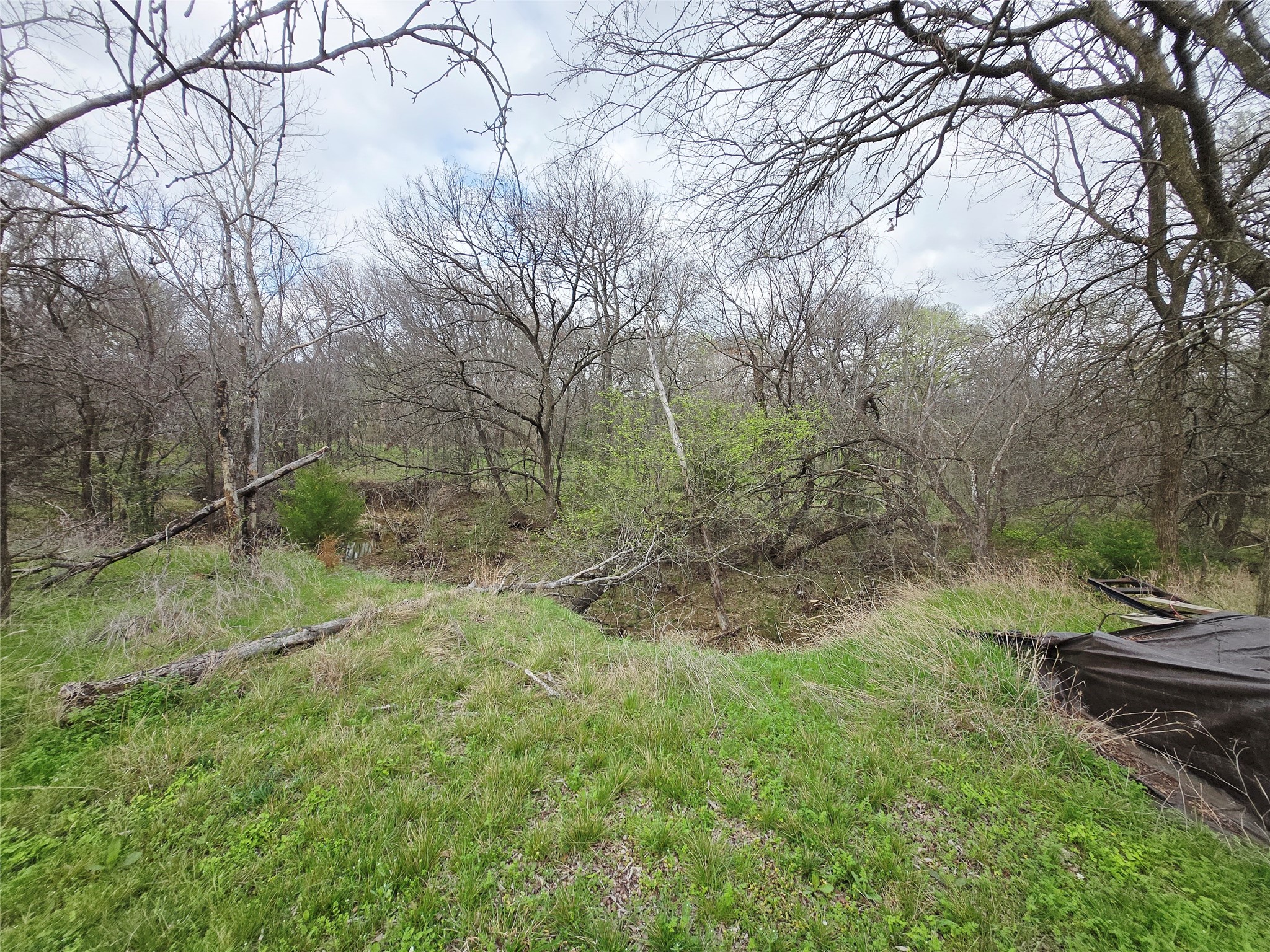 2825 Plume Court Cedar Hill TX 75104