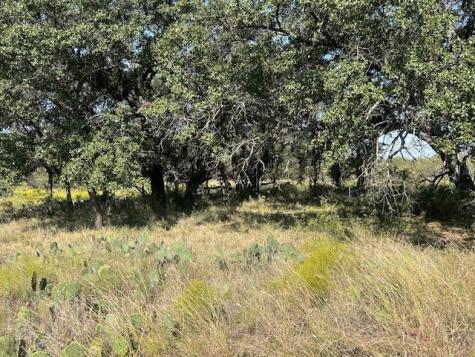 Tbd Cr 204 Richland Springs TX 76871