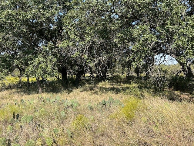 Tbd Creek 204 Richland Springs TX 76871