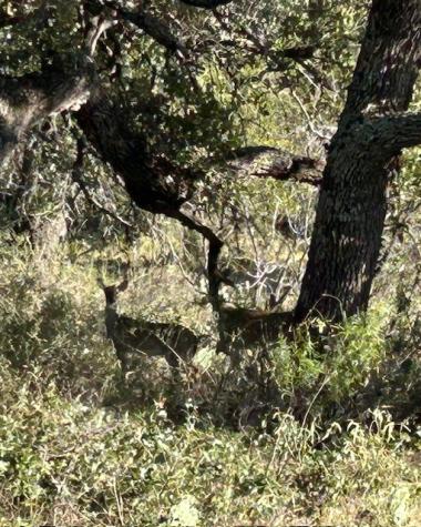 Tbd Cr 204 Richland Springs TX 76871