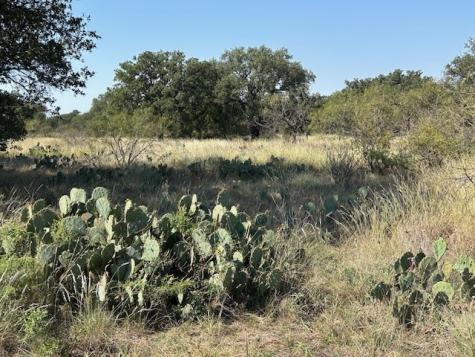 Tbd Cr 204 Richland Springs TX 76871