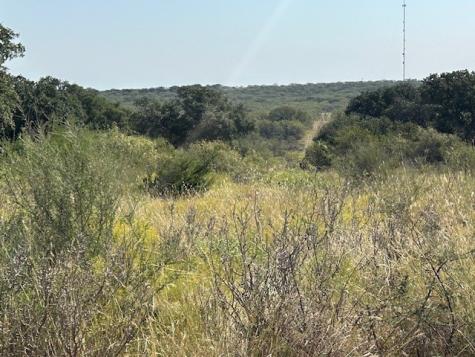 Tbd Cr 204 Richland Springs TX 76871