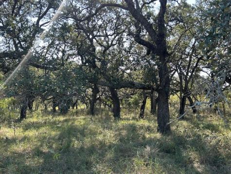 Tbd Cr 204 Richland Springs TX 76871