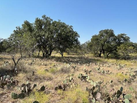 Tbd Cr 204 Richland Springs TX 76871