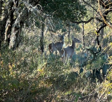 Tbd Cr 204 Richland Springs TX 76871