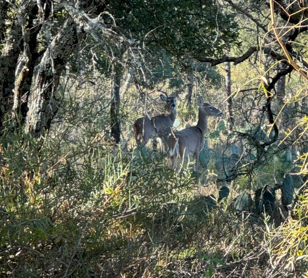 Tbd Creek 204 Richland Springs TX 76871