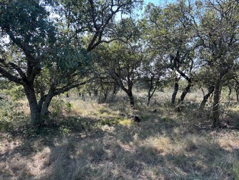 Tbd Cr 204 Richland Springs TX 76871