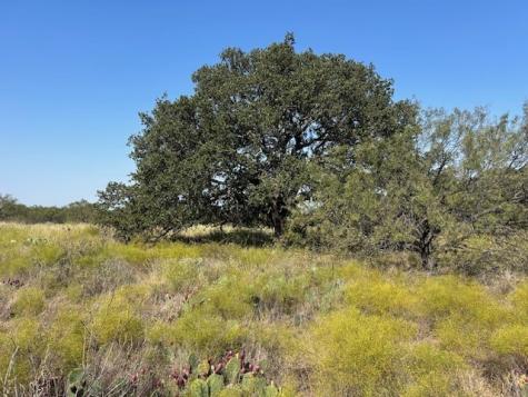 Tbd Cr 204 Richland Springs TX 76871
