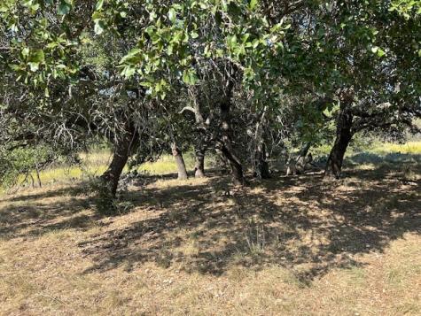 Tbd Cr 204 Richland Springs TX 76871