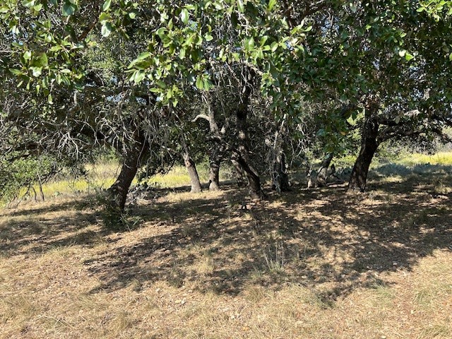 Tbd Creek 204 Richland Springs TX 76871