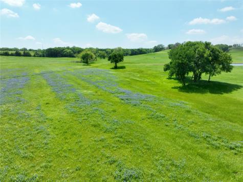 88.46 Acres Parker Hill Road Palmer TX 75152