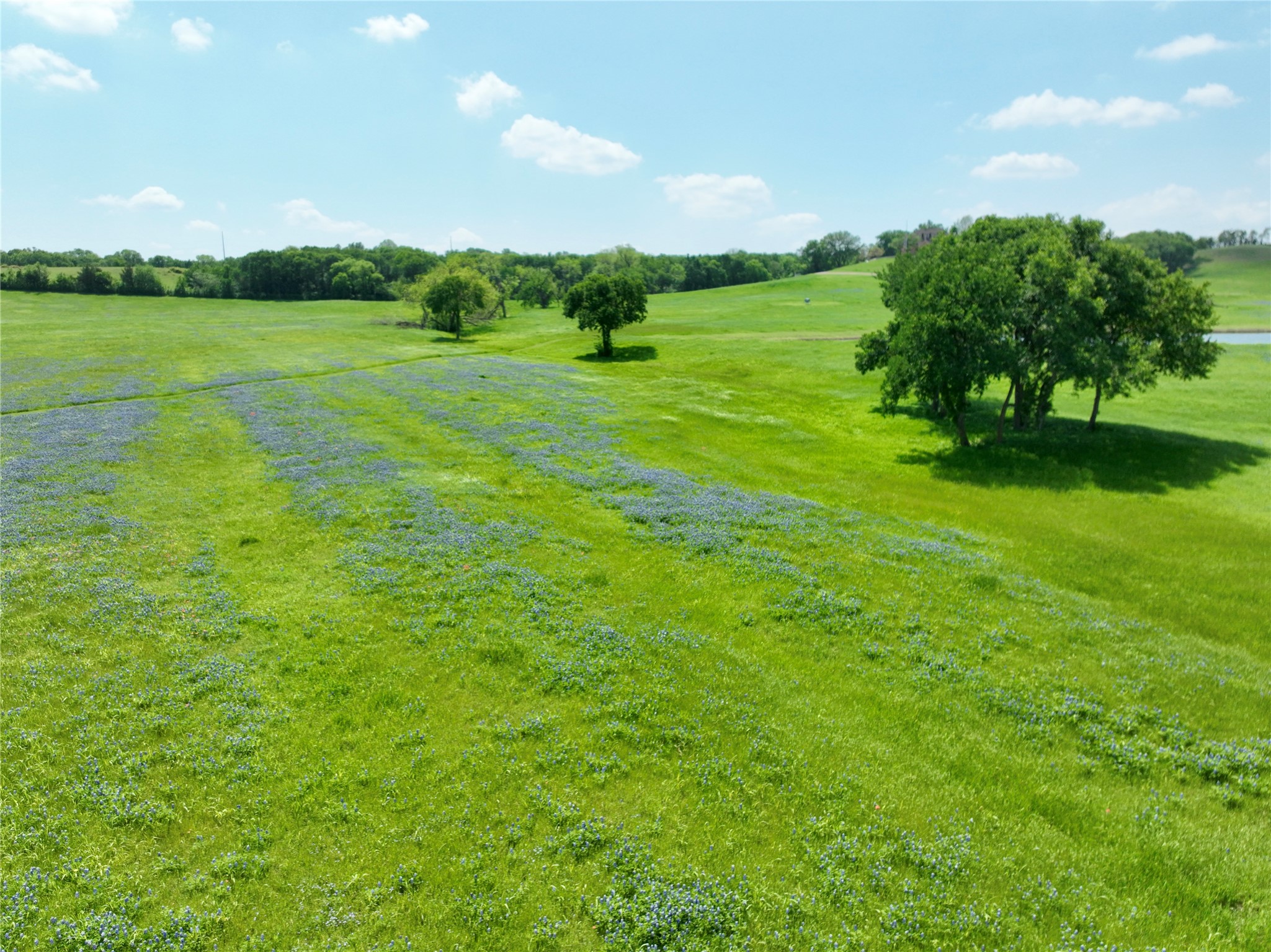 88.46 Acres Parker Hill Road Palmer TX 75152