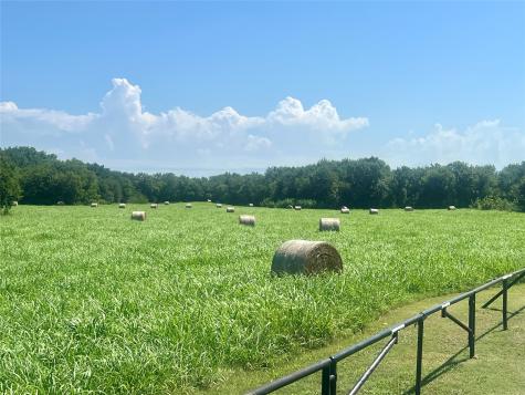 88.46 Acres Parker Hill Road Palmer TX 75152