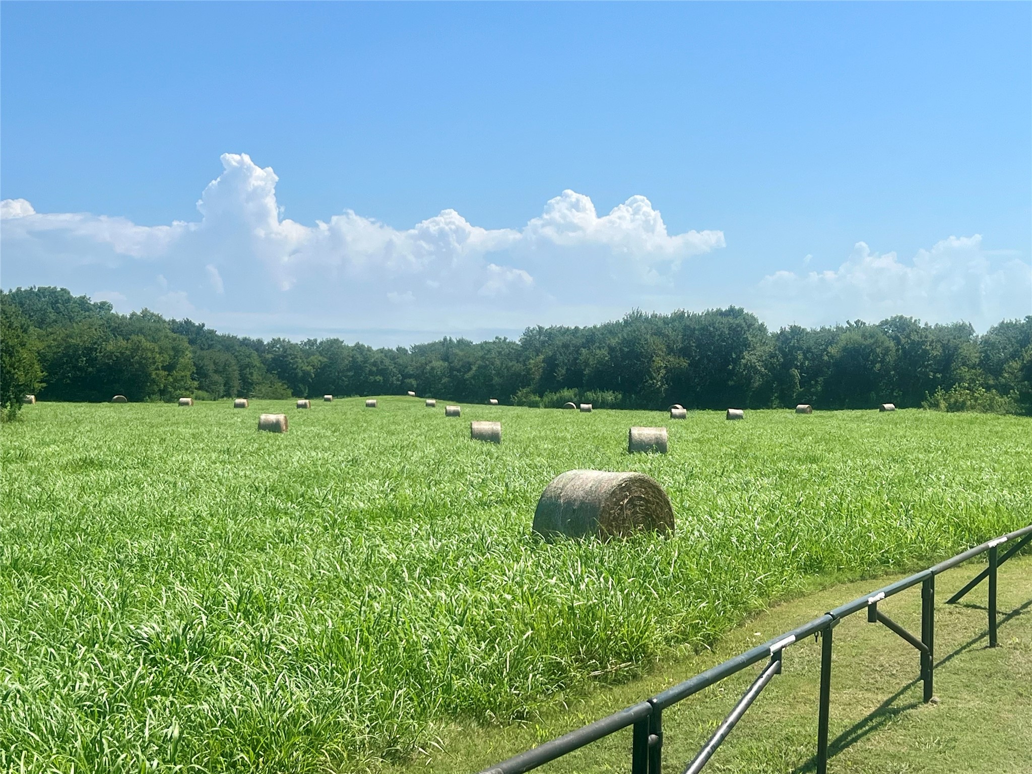88.46 Acres Parker Hill Road Palmer TX 75152