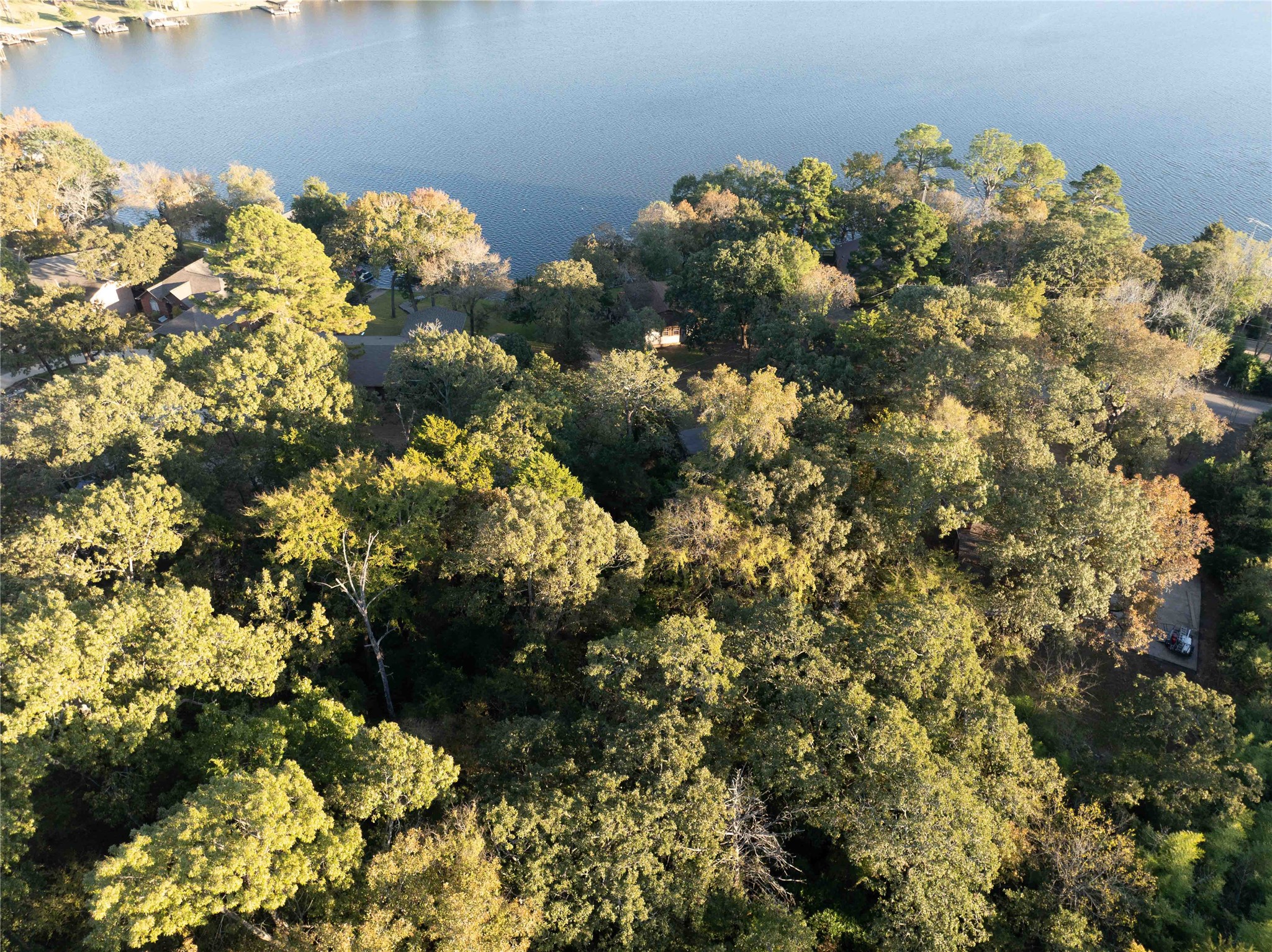 000 Callender Lake Drive Murchison TX 75778