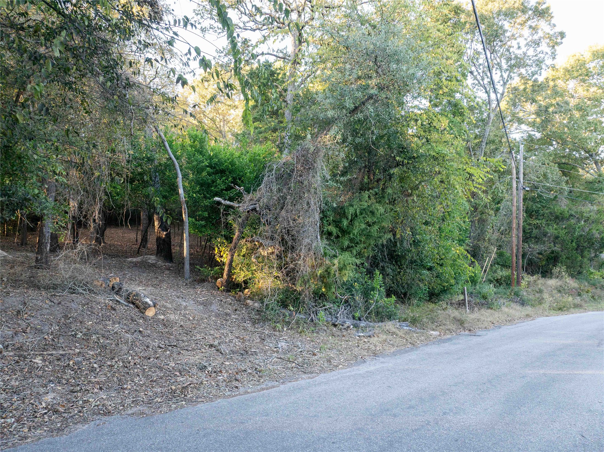 000 Callender Lake Drive Murchison TX 75778