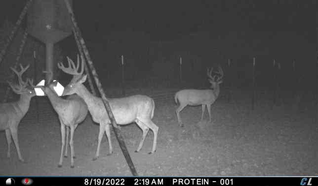 TBD1 Us Highway 183 Highway S Goldthwaite TX 76844