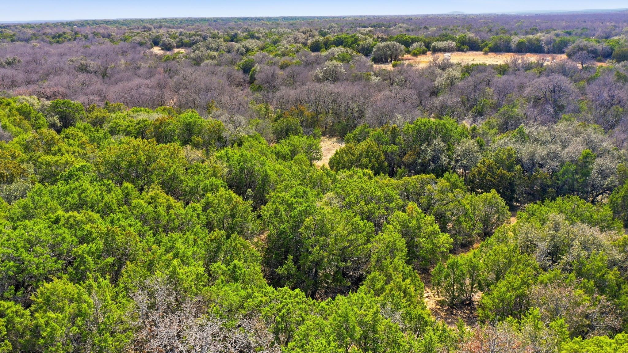 313 Hill Branch Lane Breckenridge TX 76424