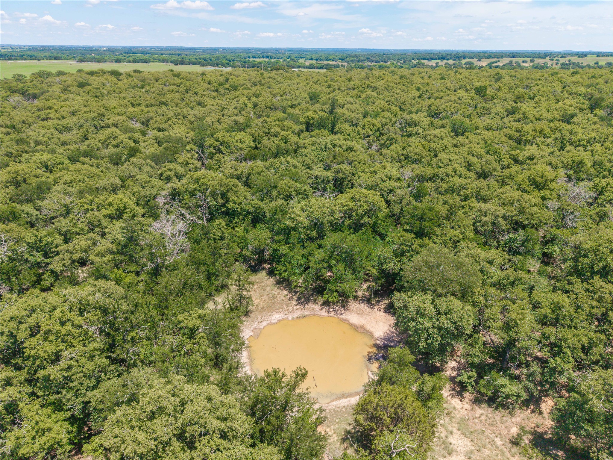 18 A Tract 1 Highway 16 De Leon TX 76444