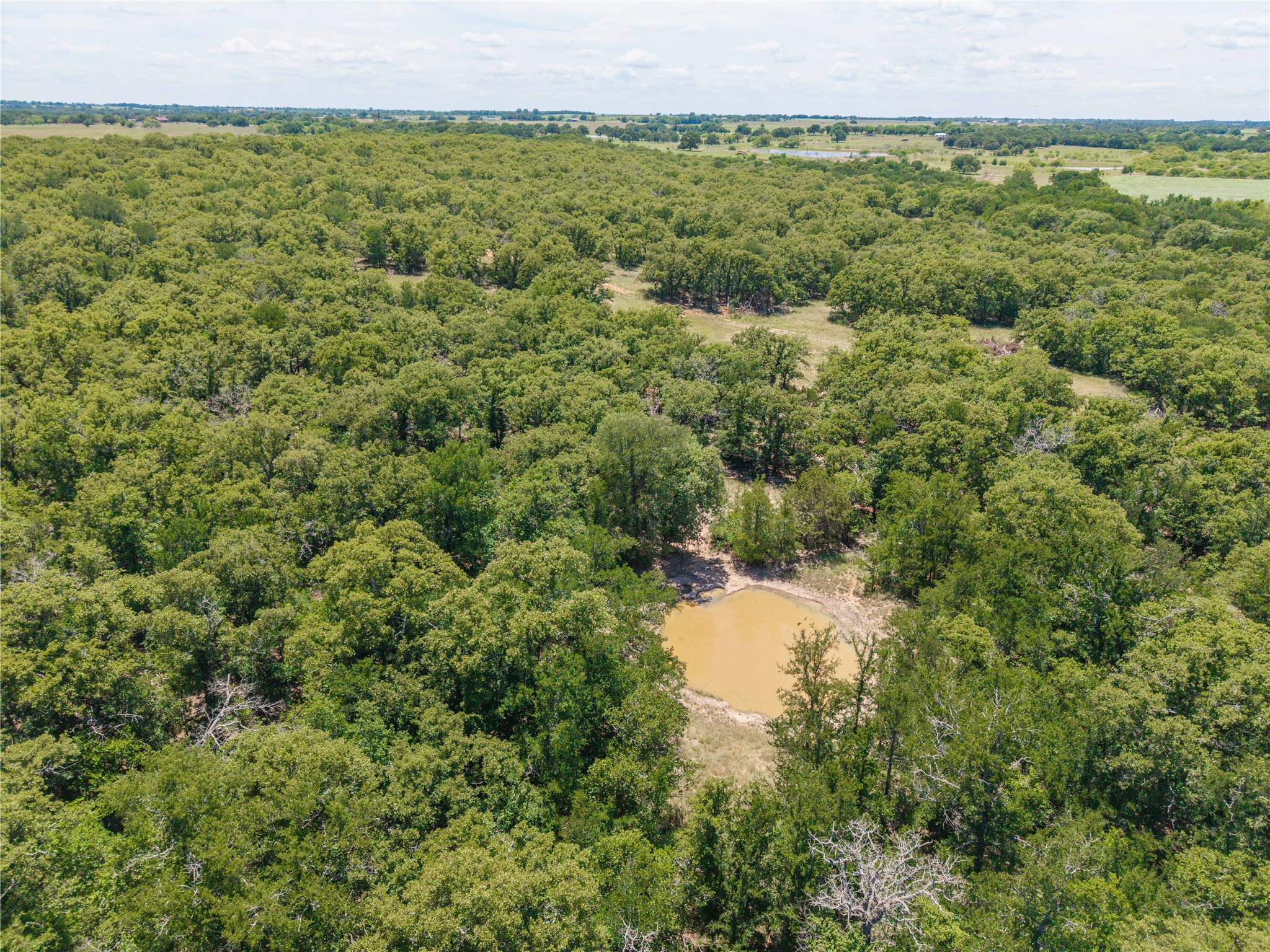18 A Tract 1 Highway 16 De Leon TX 76444