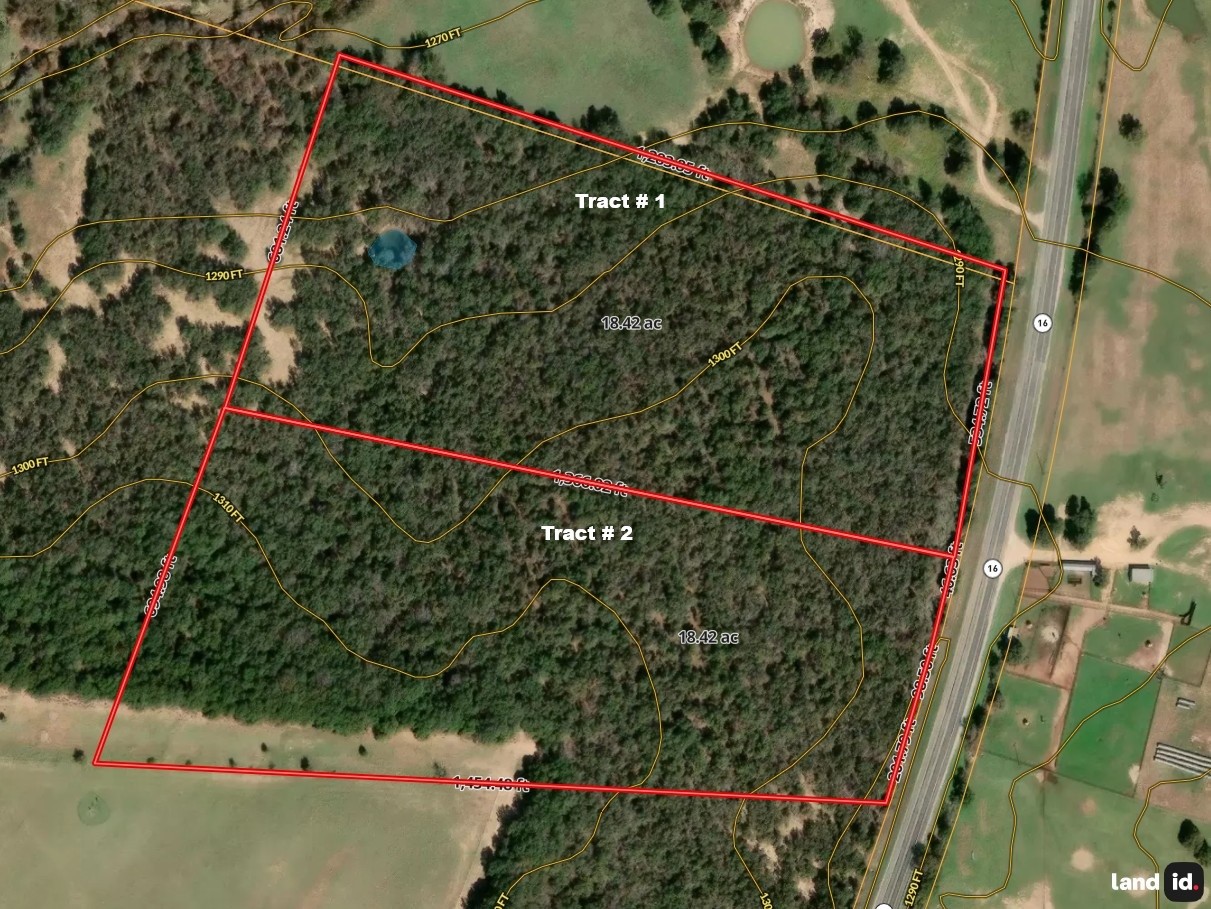 18 A Tract 1 Highway 16 De Leon TX 76444