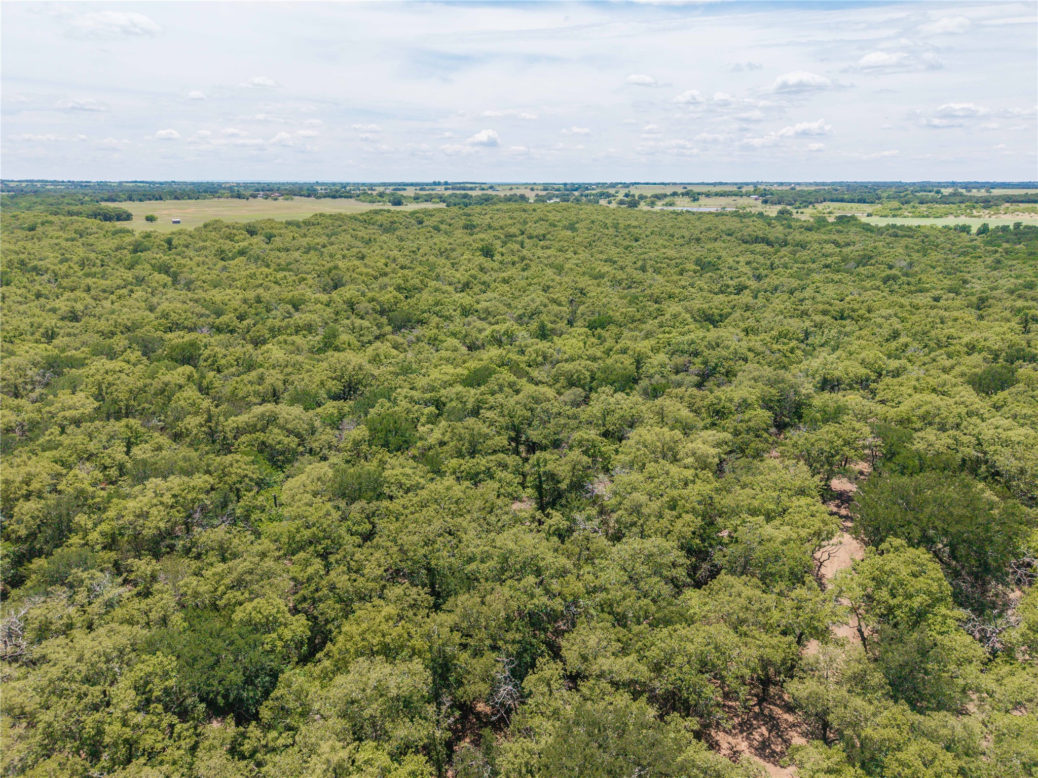 18 A Tract 1 Highway 16 De Leon TX 76444